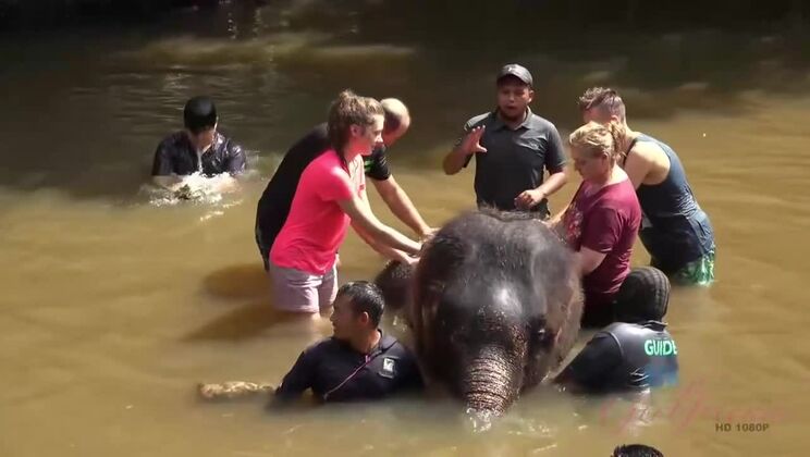 [ATKGirlfriends] - Elena Koshka Makes Your Day with a Smoking Hot Experience - Elena Koshka