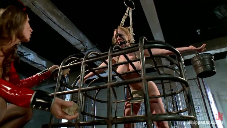 [WhippedAss] - Darling Gets Anal from Ariel X