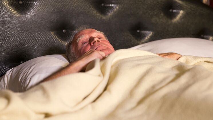 [Oldje] - The Satisfying Adventures of a Horny Maid