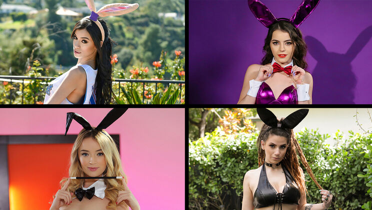 Bunnies Unleashed: Kylie and Co.